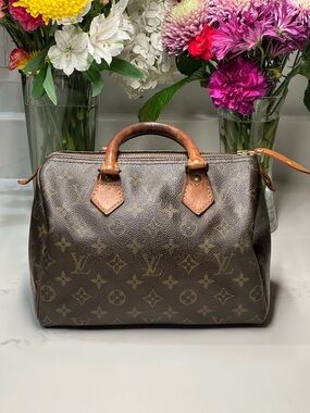 Louis Vuitton Brown Monogram Speedy 25 Top-Handle Bag